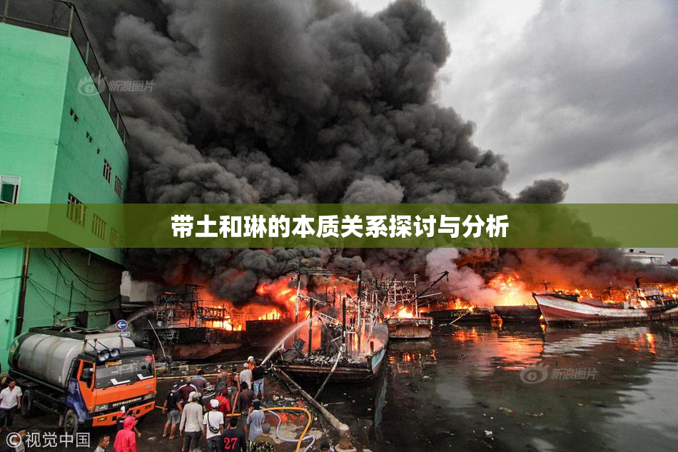 带土和琳的本质关系探讨与分析