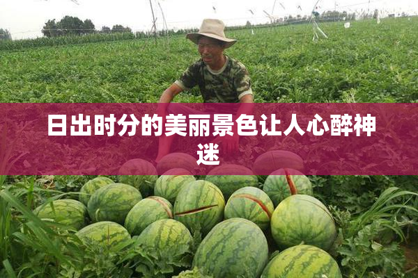 日出时分的美丽景色让人心醉神迷