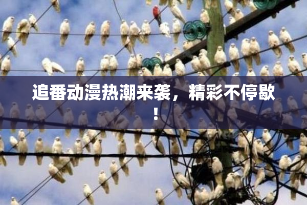 追番动漫热潮来袭，精彩不停歇！