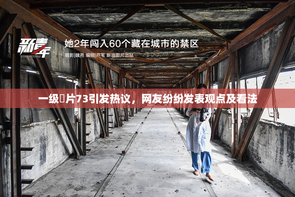 一级婬片73引发热议，网友纷纷发表观点及看法