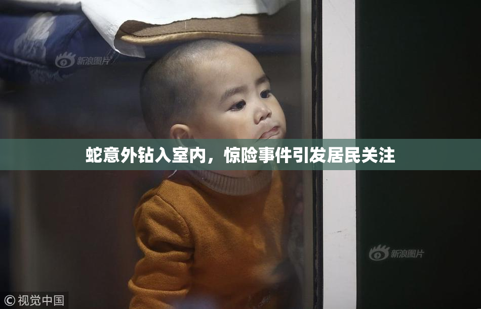 蛇意外钻入室内，惊险事件引发居民关注