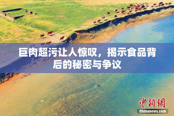巨肉超污让人惊叹，揭示食品背后的秘密与争议