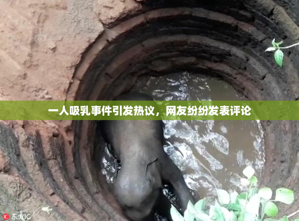 一人吸乳事件引发热议，网友纷纷发表评论