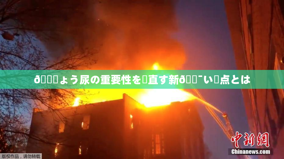 🎆ょう尿の重要性を見直す新🔯い視点とは