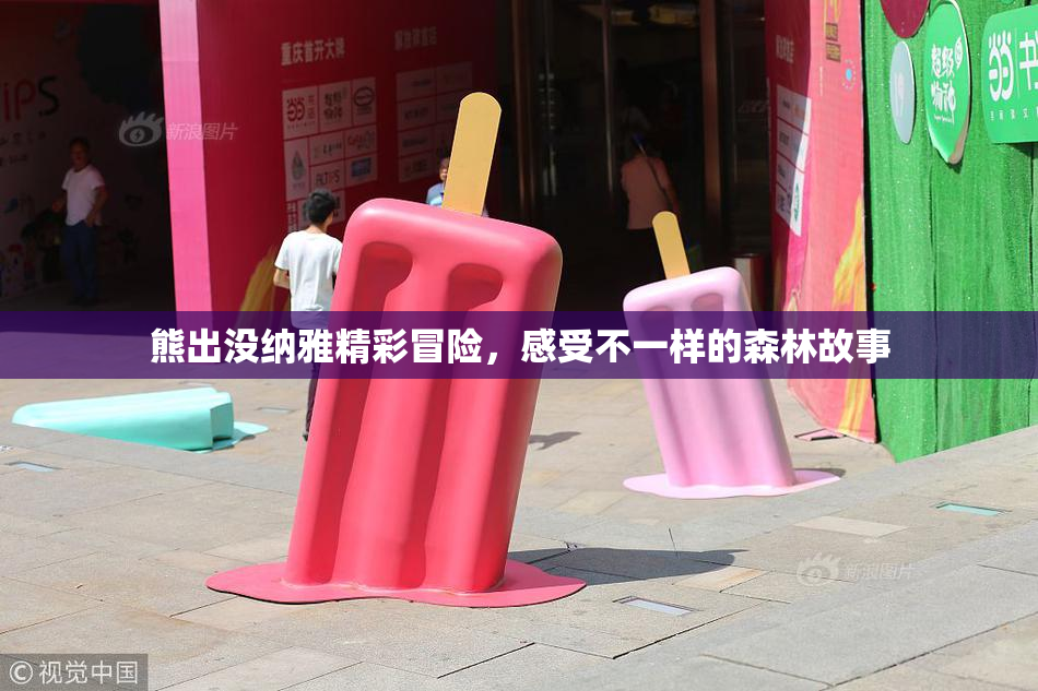 熊出没纳雅精彩冒险，感受不一样的森林故事