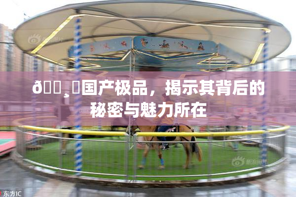 🌸‌国产极品，揭示其背后的秘密与魅力所在