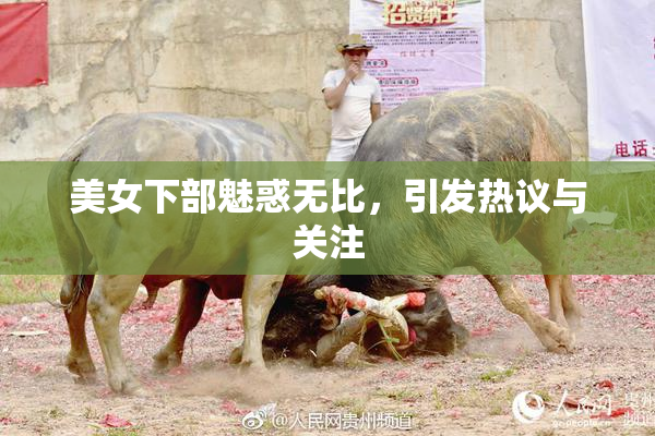 美女下部魅惑无比，引发热议与关注