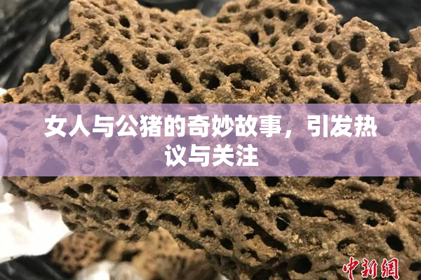 女人与公猪的奇妙故事，引发热议与关注