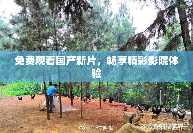 免费观看国产新片，畅享精彩影院体验
