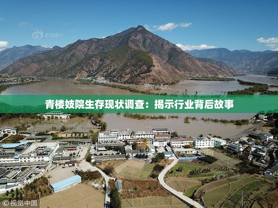 青楼妓院生存现状调查：揭示行业背后故事