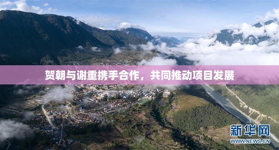 贺朝与谢重携手合作，共同推动项目发展