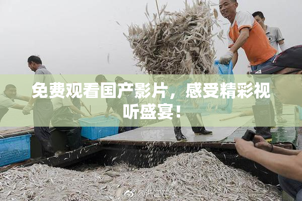 免费观看国产影片，感受精彩视听盛宴！