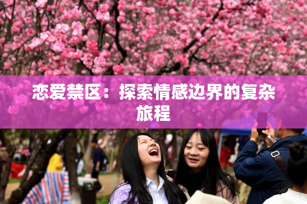 恋爱禁区：探索情感边界的复杂旅程