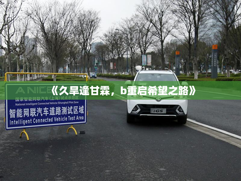 《久旱逢甘霖，b重启希望之路》