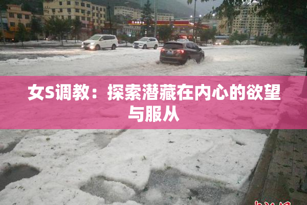 女S调教：探索潜藏在内心的欲望与服从