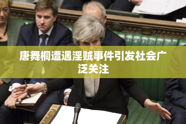 唐舞桐遭遇淫贼事件引发社会广泛关注