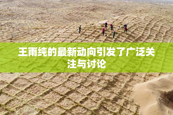 王雨纯的最新动向引发了广泛关注与讨论