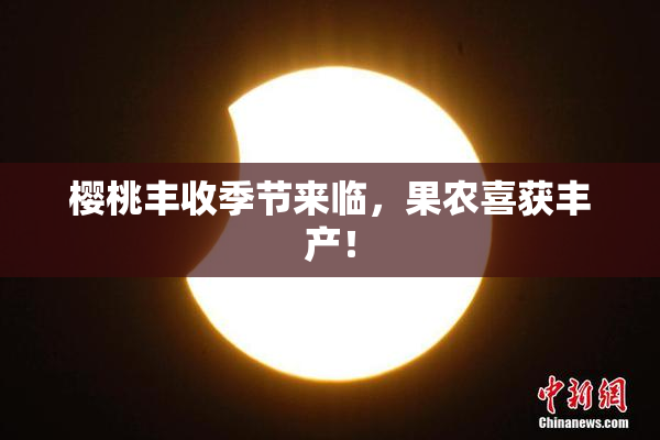 樱桃丰收季节来临，果农喜获丰产！