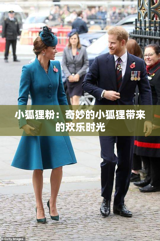 小狐狸粉：奇妙的小狐狸带来的欢乐时光