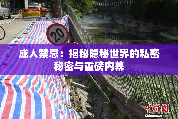 成人禁忌：揭秘隐秘世界的私密秘密与重磅内幕