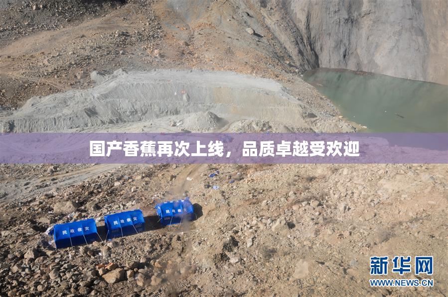 国产香蕉再次上线，品质卓越受欢迎