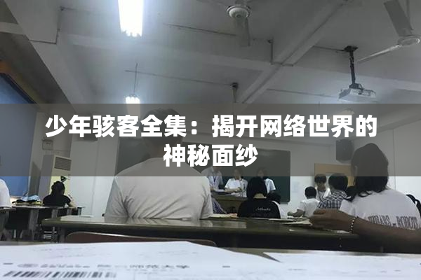 少年骇客全集：揭开网络世界的神秘面纱
