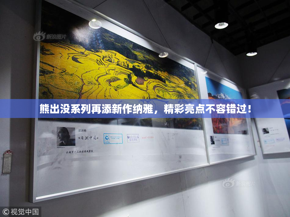 熊出没系列再添新作纳雅，精彩亮点不容错过！