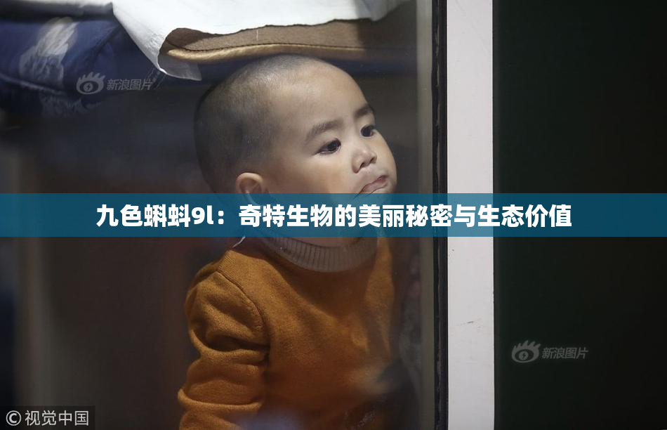 九色蝌蚪9l：奇特生物的美丽秘密与生态价值