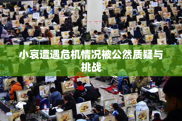 小哀遭遇危机情况被公然质疑与挑战