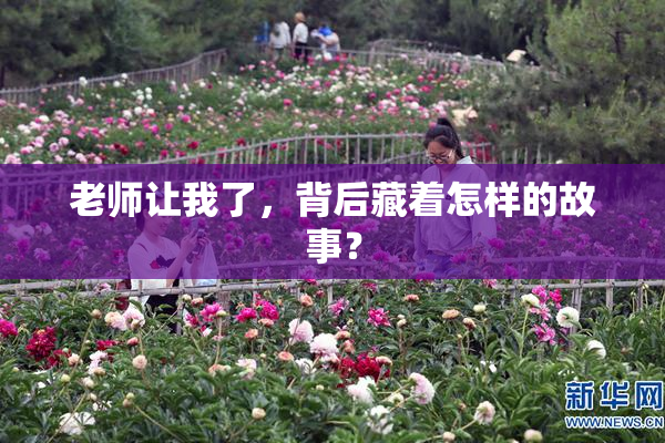 老师让我了，背后藏着怎样的故事？