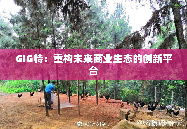 GIG特：重构未来商业生态的创新平台