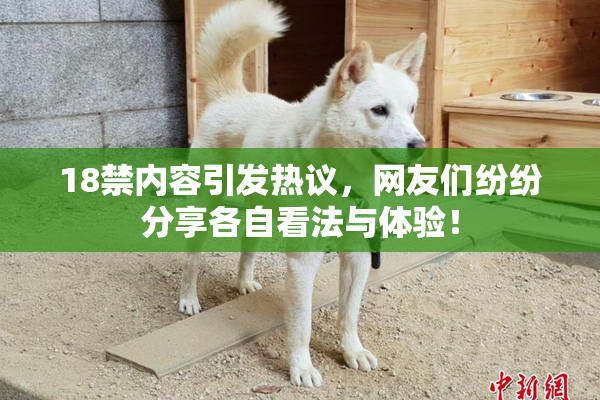 18禁内容引发热议，网友们纷纷分享各自看法与体验！