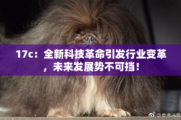 17c：全新科技革命引发行业变革，未来发展势不可挡！