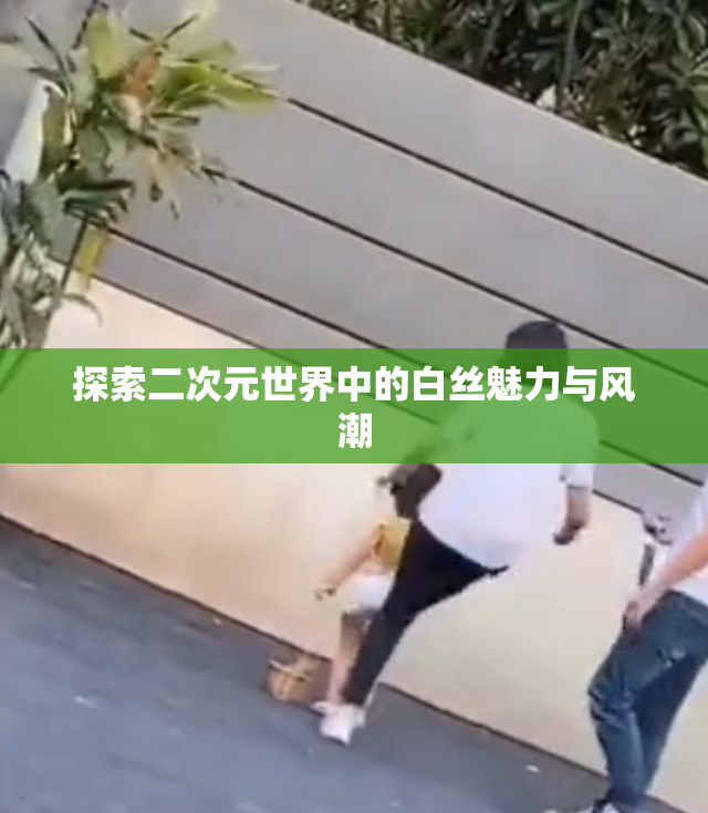 探索二次元世界中的白丝魅力与风潮