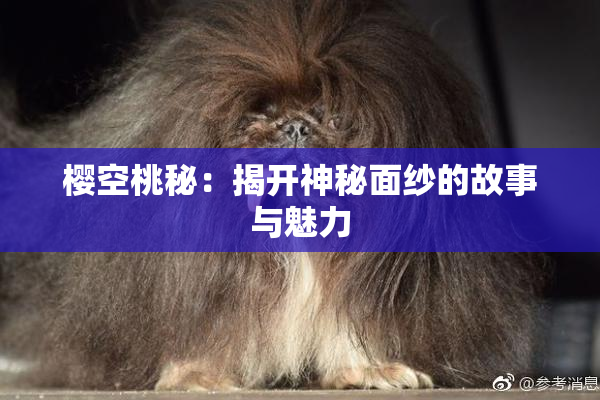 樱空桃秘：揭开神秘面纱的故事与魅力
