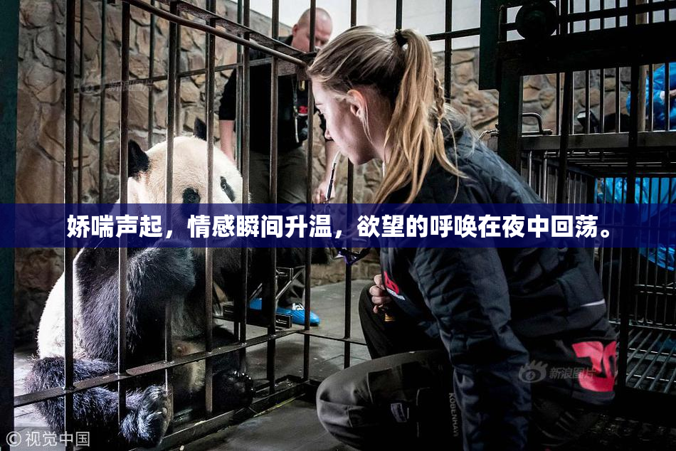 娇喘声起，情感瞬间升温，欲望的呼唤在夜中回荡。