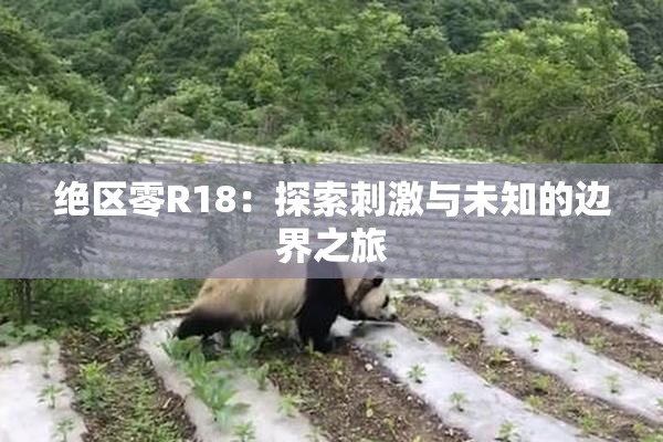 绝区零R18：探索刺激与未知的边界之旅