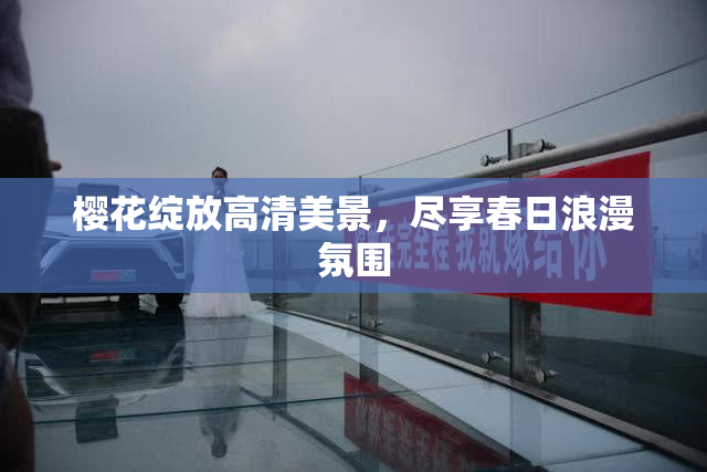 樱花绽放高清美景，尽享春日浪漫氛围