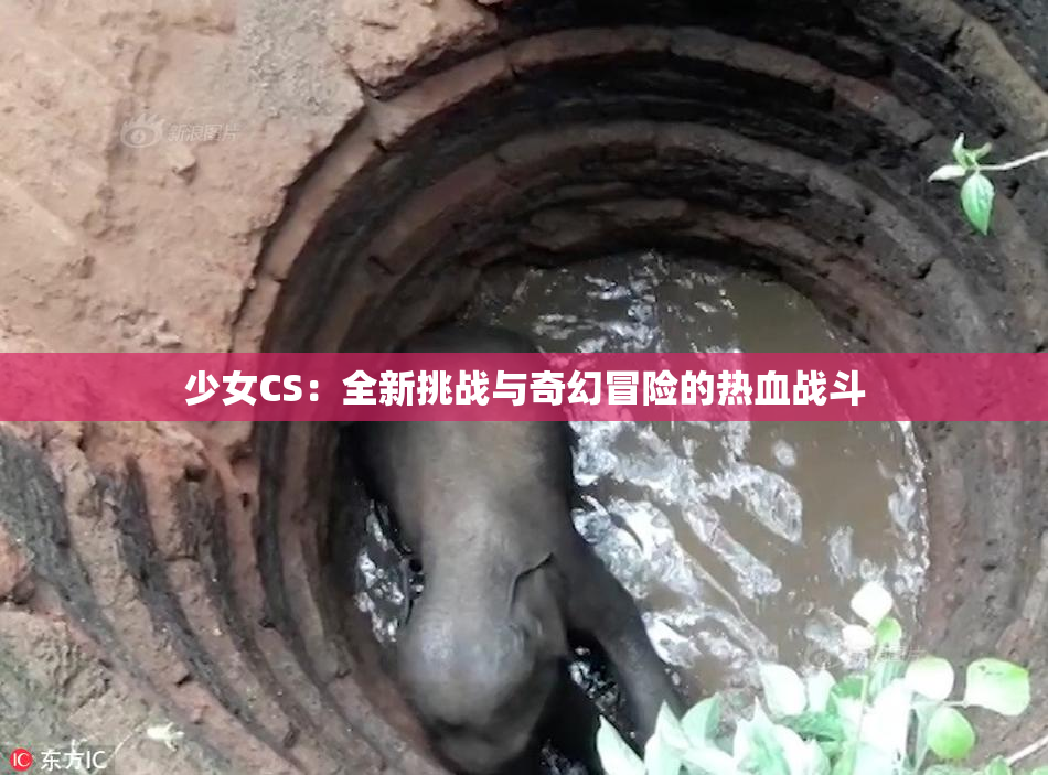 少女CS：全新挑战与奇幻冒险的热血战斗