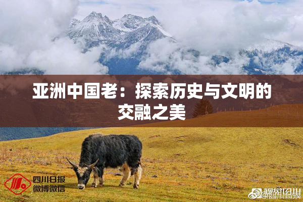 亚洲中国老：探索历史与文明的交融之美