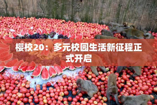 樱校20：多元校园生活新征程正式开启