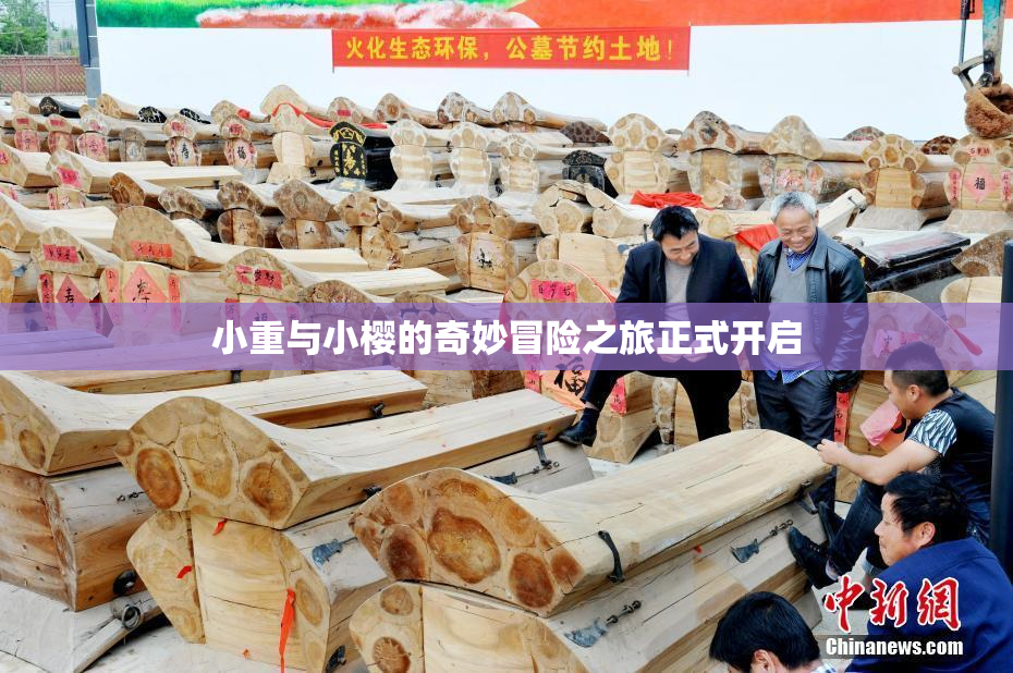 小重与小樱的奇妙冒险之旅正式开启