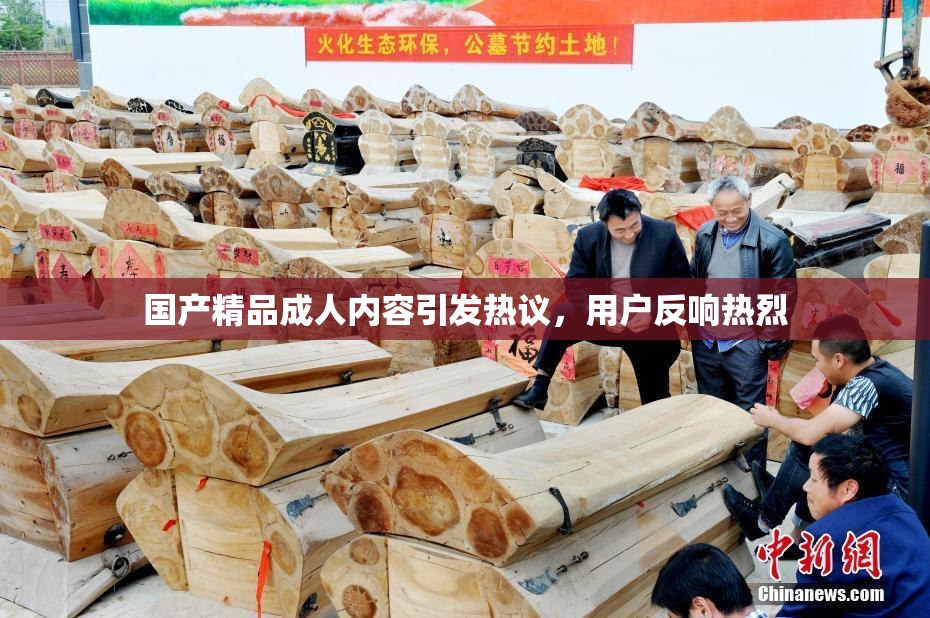 国产精品成人内容引发热议，用户反响热烈