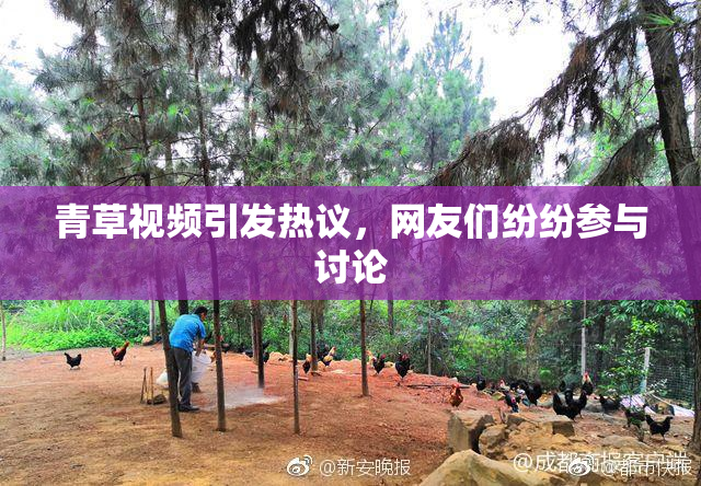青草视频引发热议，网友们纷纷参与讨论