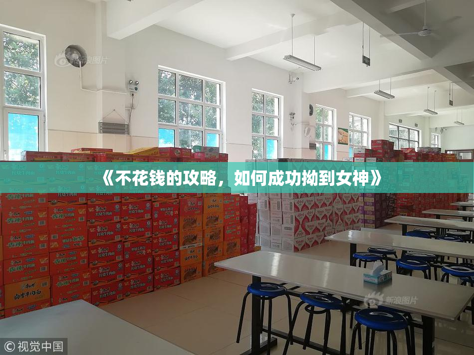 《不花钱的攻略，如何成功拗到女神》