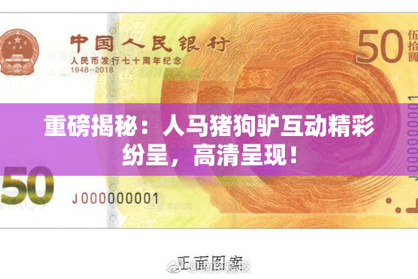 重磅揭秘：人马猪狗驴互动精彩纷呈，高清呈现！