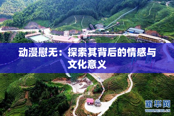 动漫慰无：探索其背后的情感与文化意义