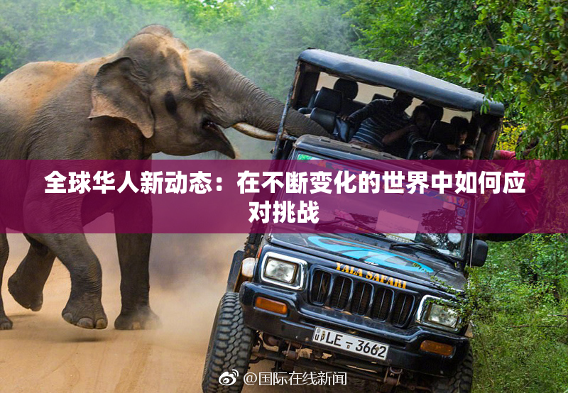 全球华人新动态：在不断变化的世界中如何应对挑战