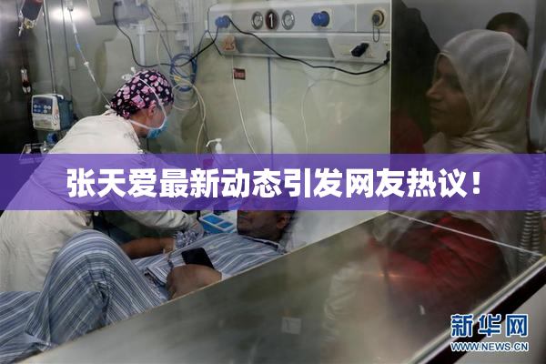 张天爱最新动态引发网友热议！