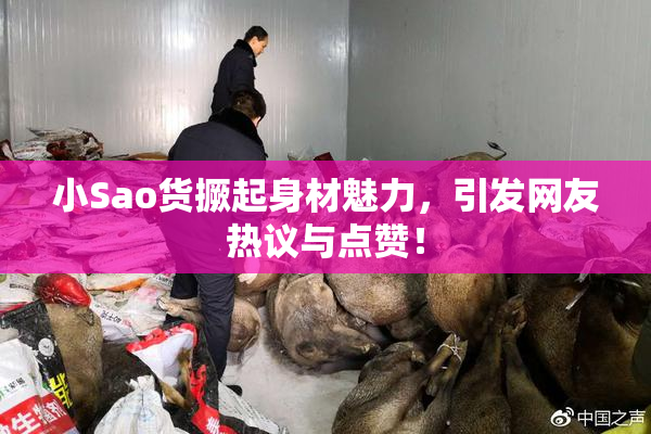 小Sao货撅起身材魅力，引发网友热议与点赞！